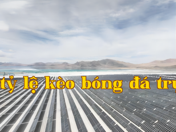 Hình ảnh 4(1).png