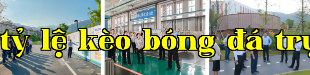 WPS Xếp hình 1(1)(1).png