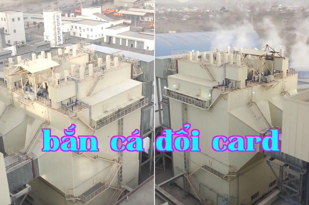 WPS Xếp hình 1(1)(1).png